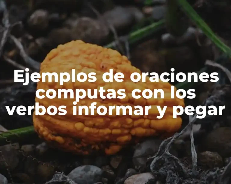 Ejemplos de oraciones computas con los verbos informar y pegar