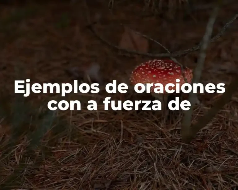 Ejemplos de oraciones con a fuerza de