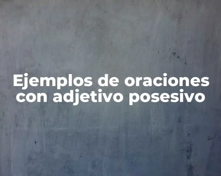 Ejemplos de oraciones con adjetivo posesivo
