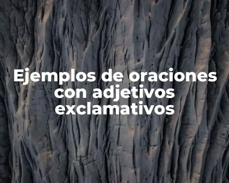 Ejemplos de oraciones con adjetivos exclamativos
