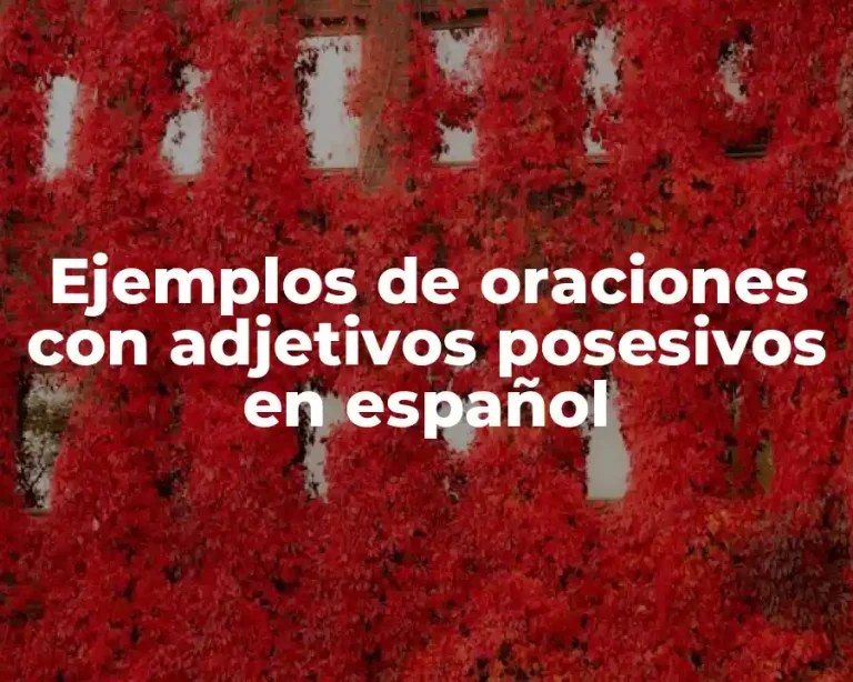 Ejemplos de oraciones con adjetivos posesivos en español
