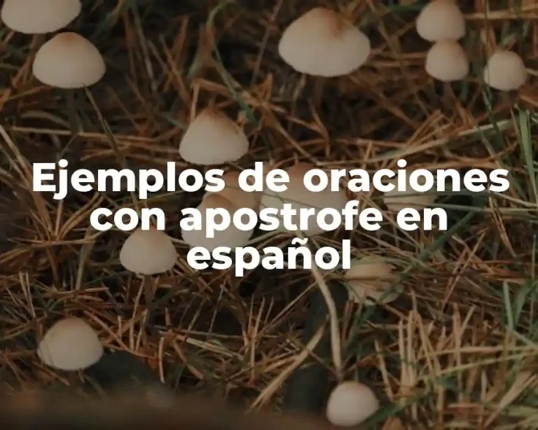 Ejemplos de oraciones con apostrofe en español