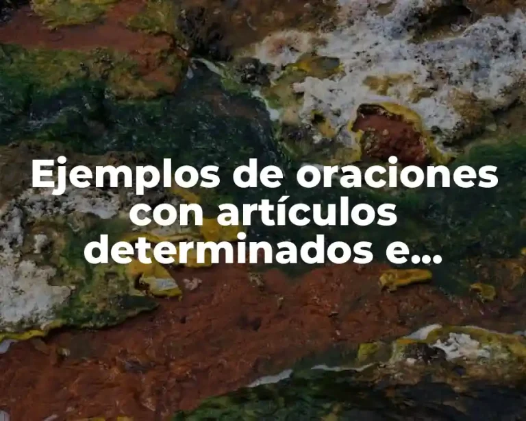 Ejemplos de oraciones con artículos determinados e indeterminados
