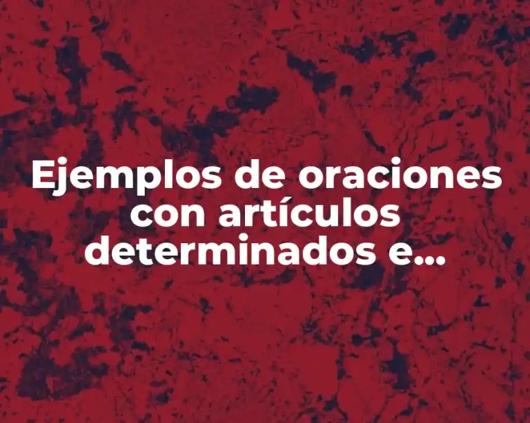 Ejemplos de oraciones con artículos determinados e indeterminados en