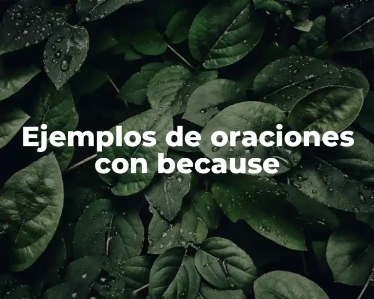 Ejemplos de oraciones con because