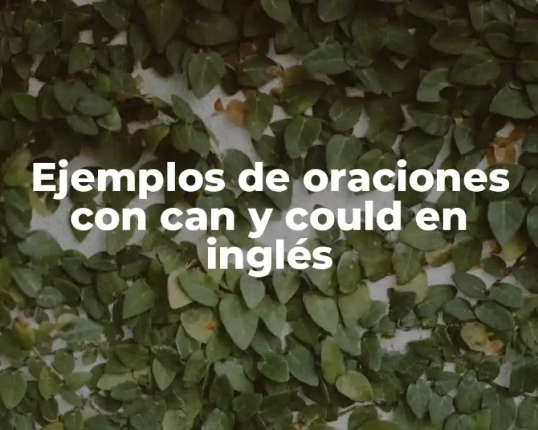 Ejemplos de oraciones con can y could en inglés