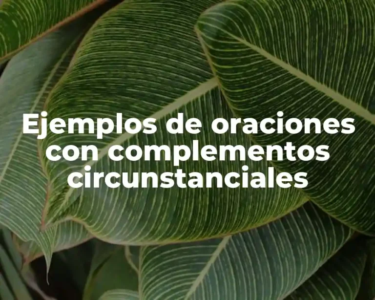 Ejemplos de oraciones con complementos circunstanciales
