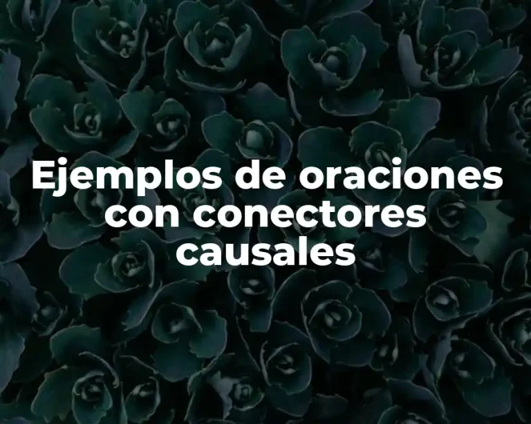 Ejemplos de oraciones con conectores causales
