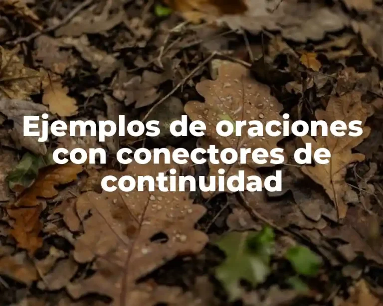 Ejemplos de oraciones con conectores de continuidad
