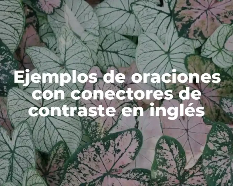 Ejemplos de oraciones con conectores de contraste en inglés