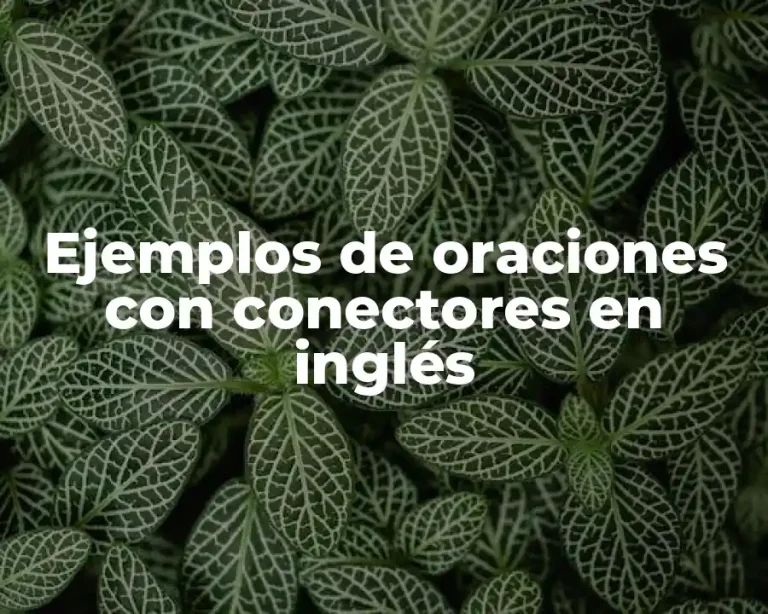 Ejemplos de oraciones con conectores en inglés