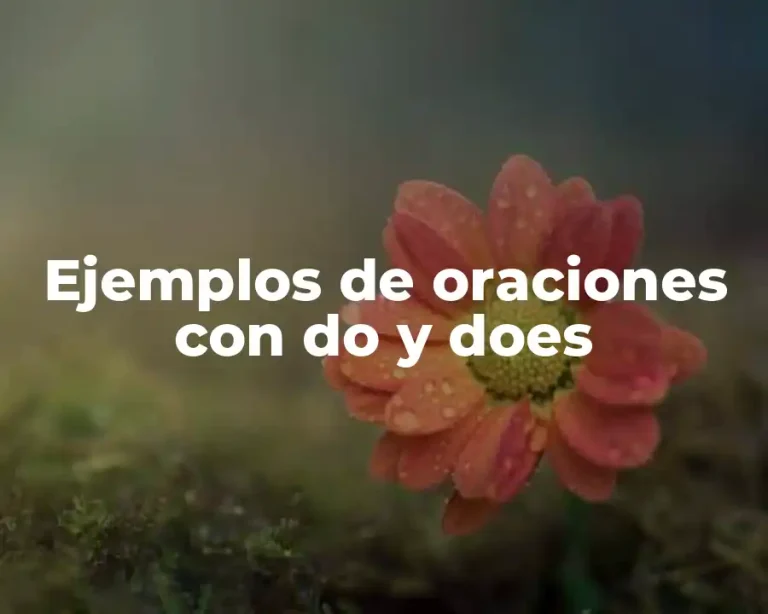 Ejemplos de oraciones con do y does