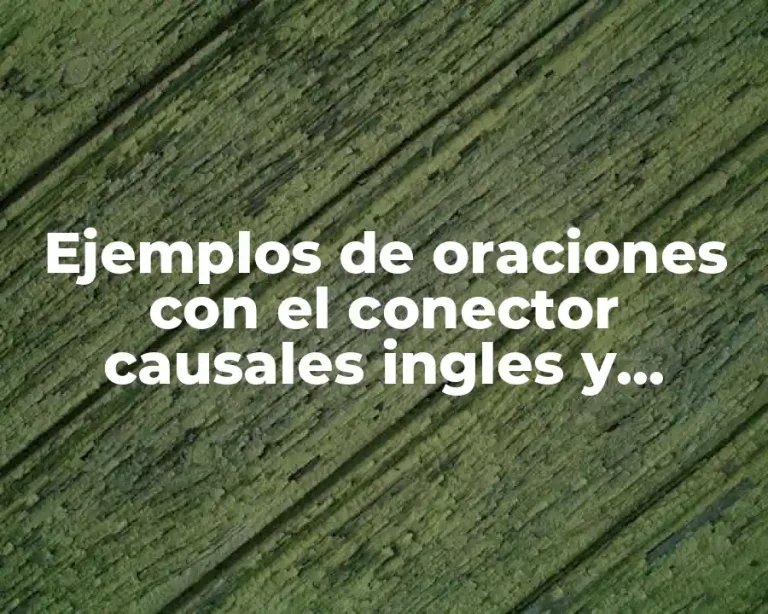 Ejemplos de oraciones con el conector causales ingles y español