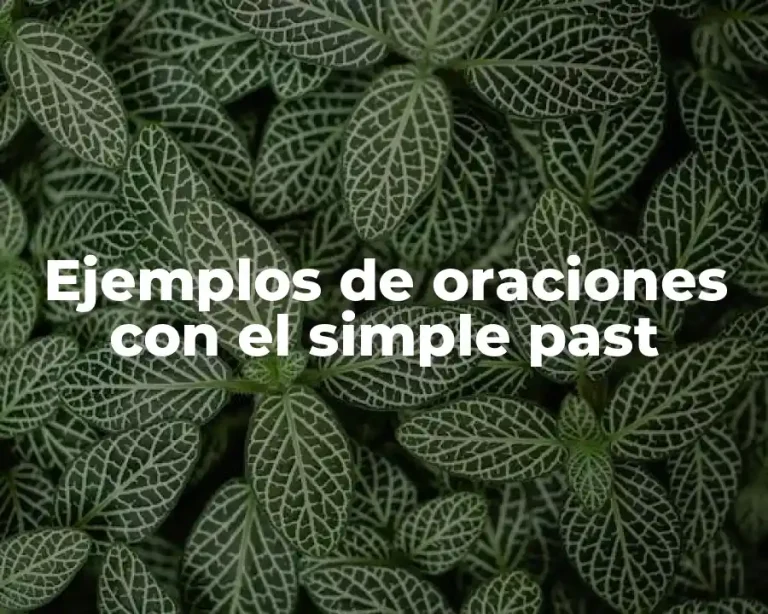 Ejemplos de oraciones con el simple past