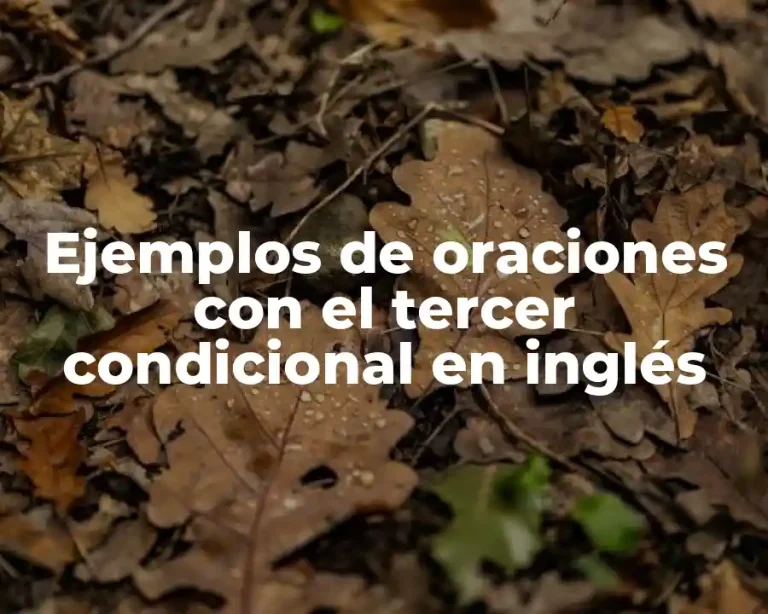 Ejemplos de oraciones con el tercer condicional en inglés
