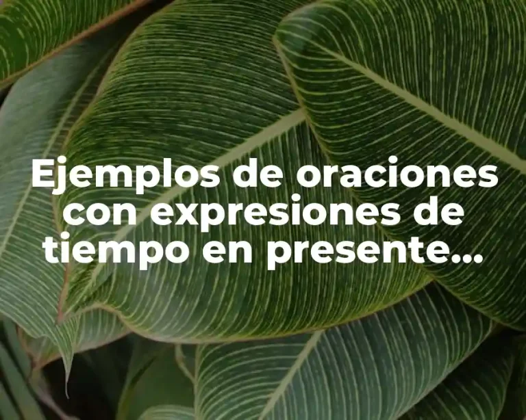 Ejemplos de oraciones con expresiones de tiempo en presente simple
