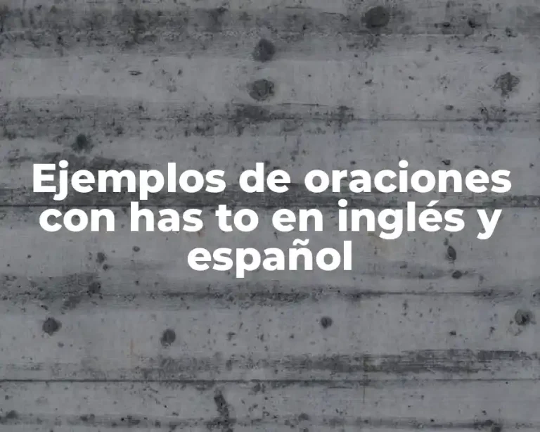 Ejemplos de oraciones con has to en inglés y español