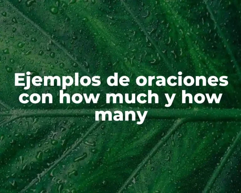 Ejemplos de oraciones con how much y how many
