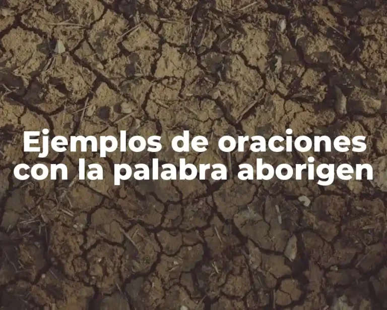 Ejemplos de oraciones con la palabra aborigen