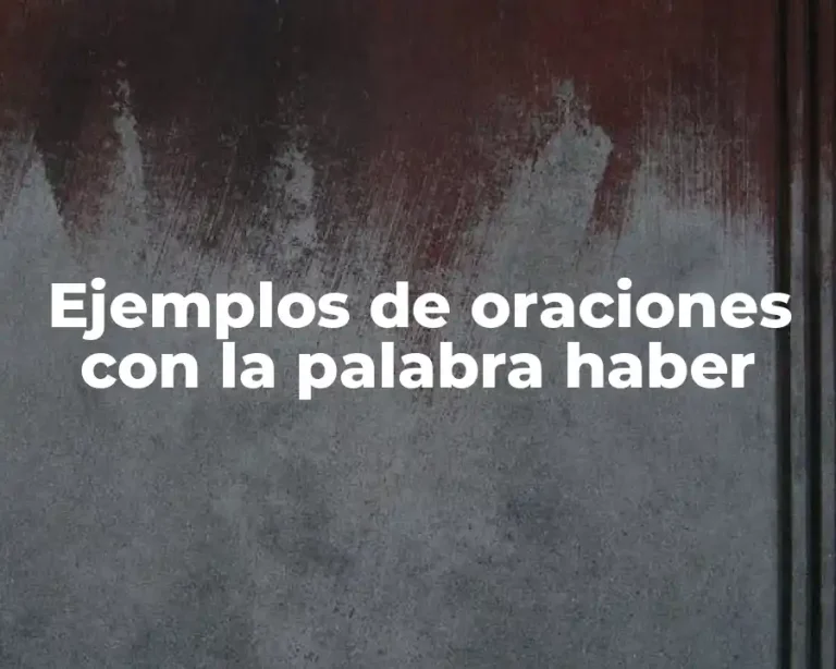 Ejemplos de oraciones con la palabra haber