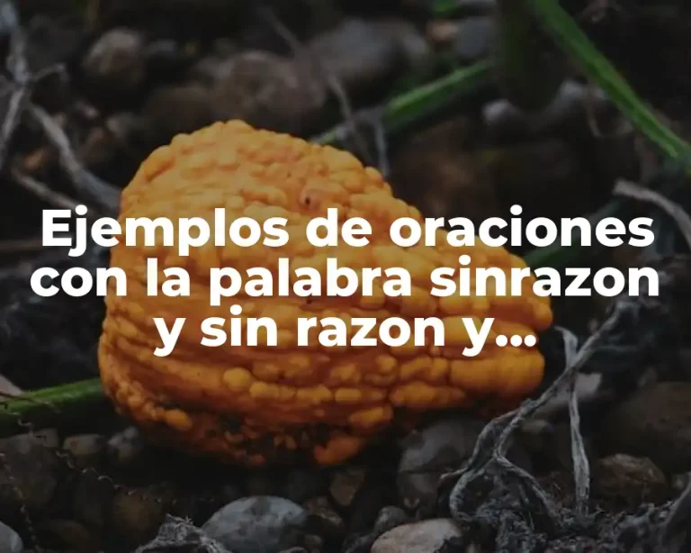 Ejemplos de oraciones con la palabra sinrazon y sin razon y Significado