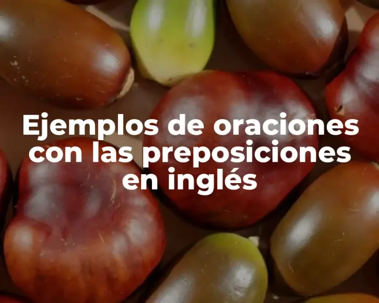 Ejemplos de oraciones con las preposiciones en inglés