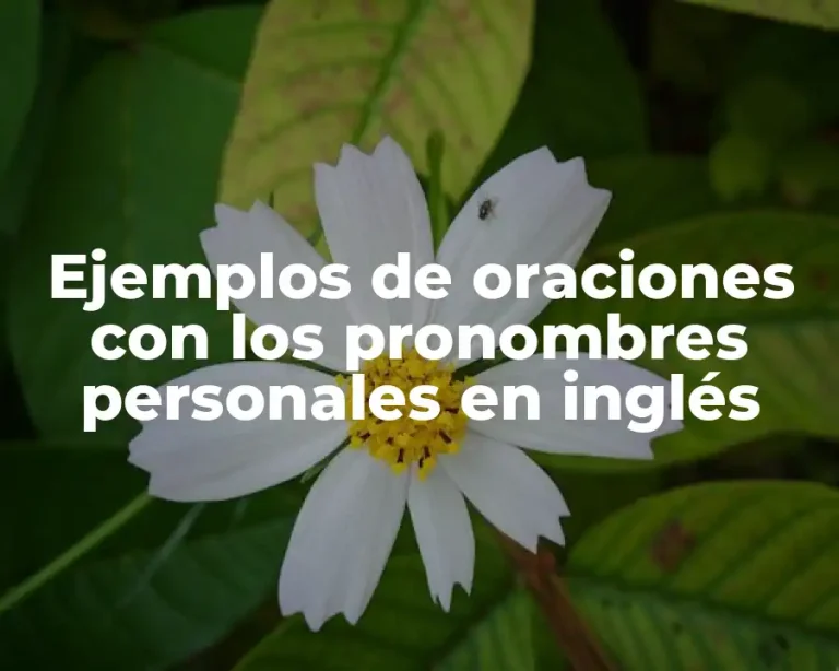 Ejemplos de oraciones con los pronombres personales en inglés