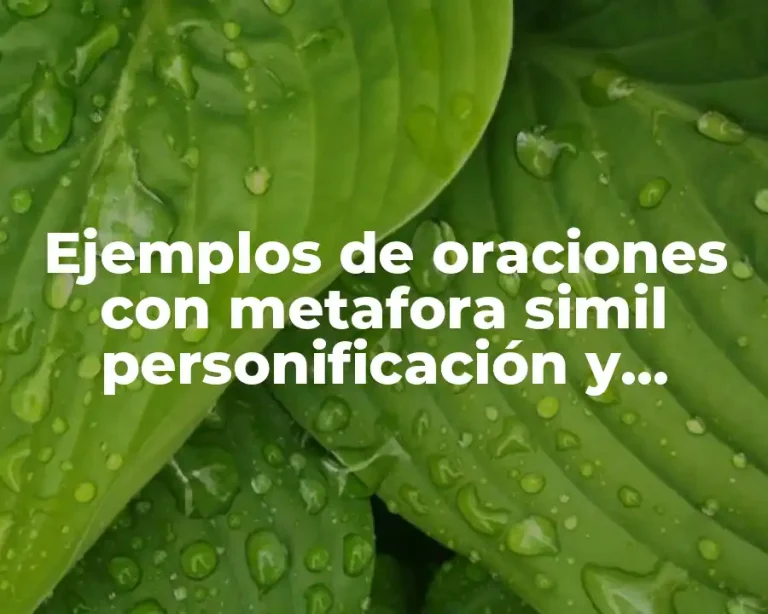 Ejemplos de oraciones con metafora simil personificación y Significado