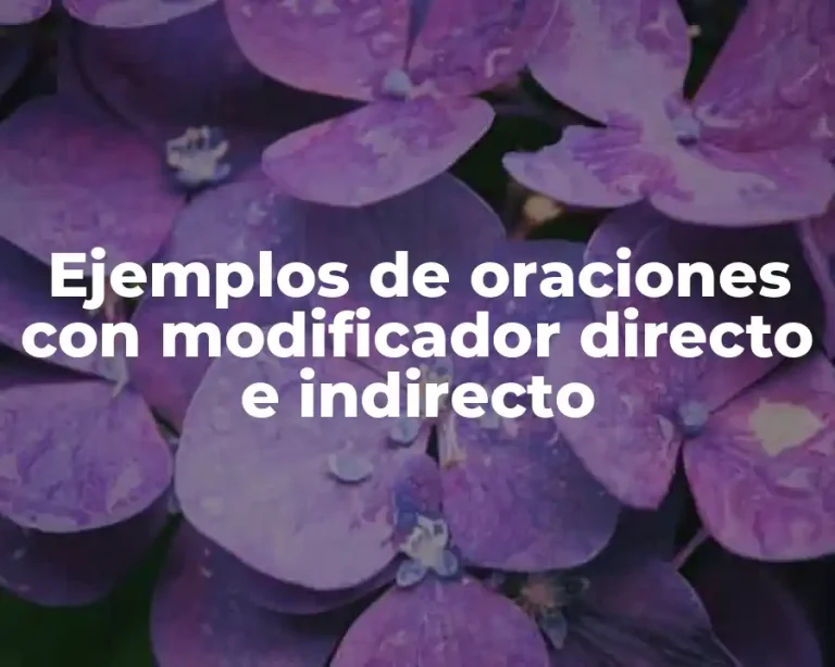 Ejemplos de oraciones con modificador directo e indirecto