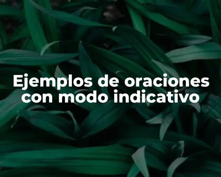 Ejemplos de oraciones con modo indicativo
