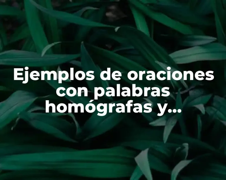 Ejemplos de oraciones con palabras homógrafas y Significado