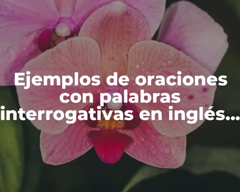 Ejemplos de oraciones con palabras interrogativas en inglés y español y Significado