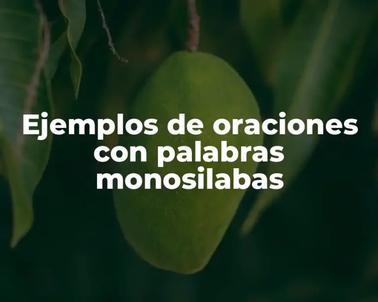 Ejemplos de oraciones con palabras monosilabas