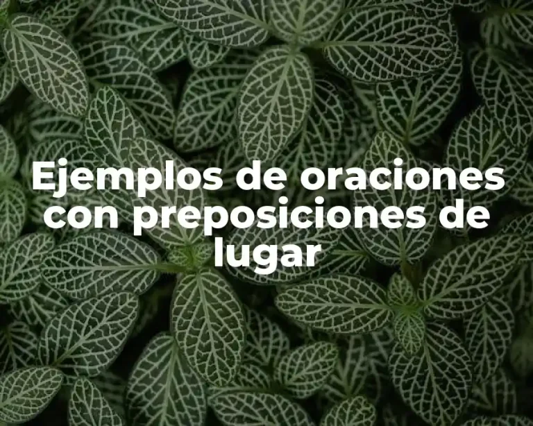 Ejemplos de oraciones con preposiciones de lugar
