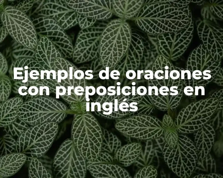 Ejemplos de oraciones con preposiciones en inglés