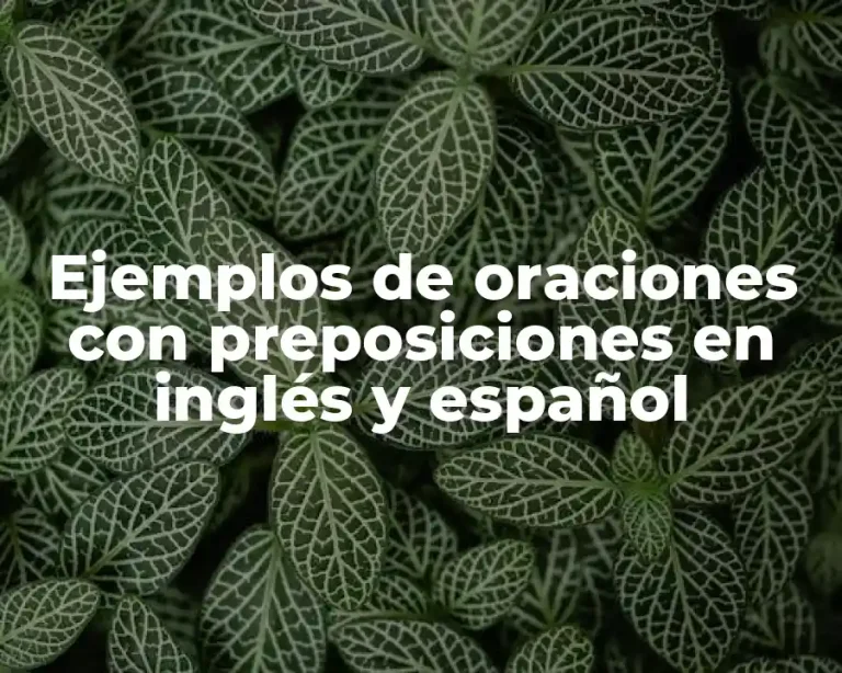 Ejemplos de oraciones con preposiciones en inglés y español