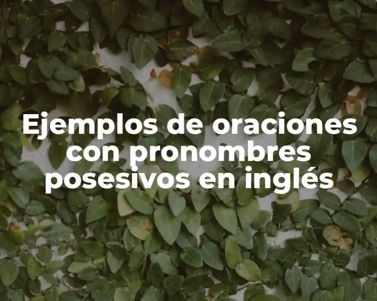 Ejemplos de oraciones con pronombres posesivos en inglés