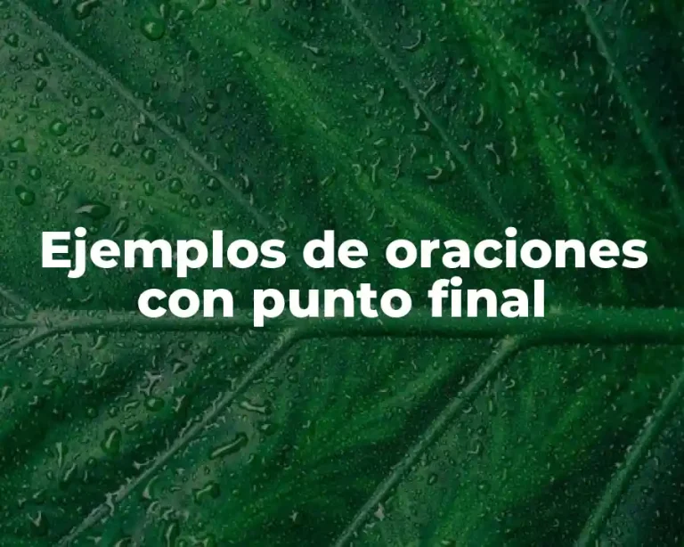 Ejemplos de oraciones con punto final