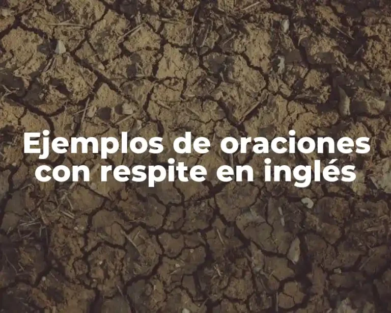 Ejemplos de oraciones con respite en inglés