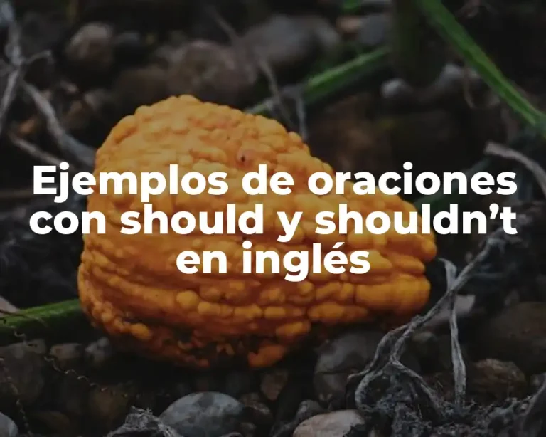 Ejemplos de oraciones con should y shouldn’t en inglés