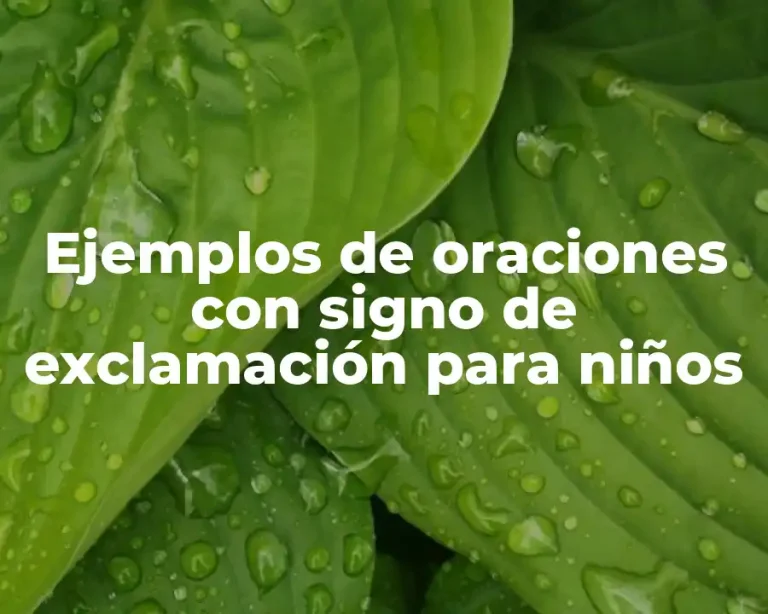 Ejemplos de oraciones con signo de exclamación para niños