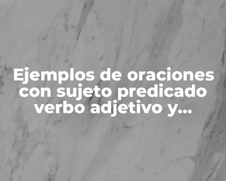 Ejemplos de oraciones con sujeto predicado verbo adjetivo y articulo y Significado