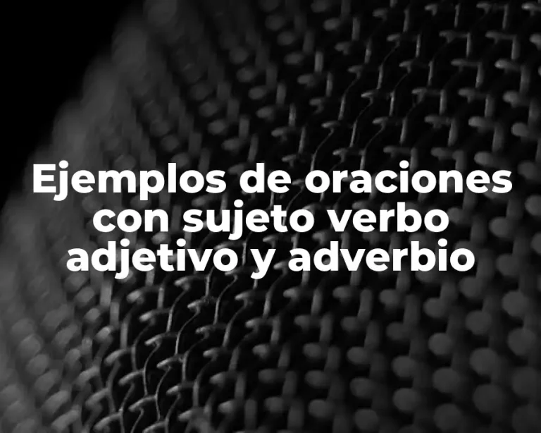 Ejemplos de oraciones con sujeto verbo adjetivo y adverbio