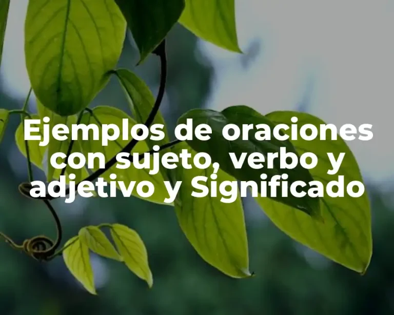 Ejemplos de oraciones con sujeto, verbo y adjetivo y Significado