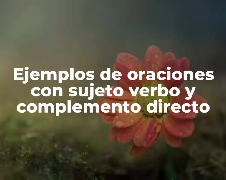 Ejemplos de oraciones con sujeto verbo y complemento directo