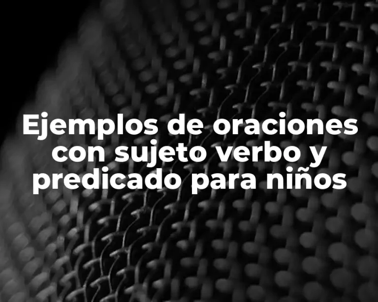 Ejemplos de oraciones con sujeto verbo y predicado para niños