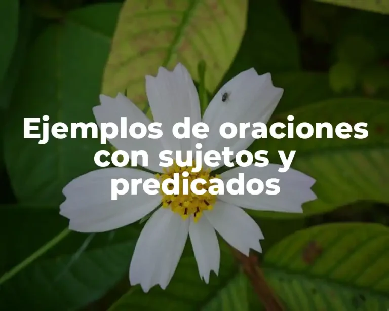 Ejemplos de oraciones con sujetos y predicados