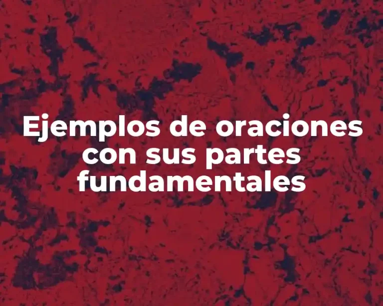 Ejemplos de oraciones con sus partes fundamentales