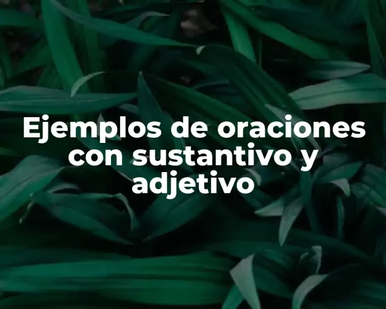 Ejemplos de oraciones con sustantivo y adjetivo