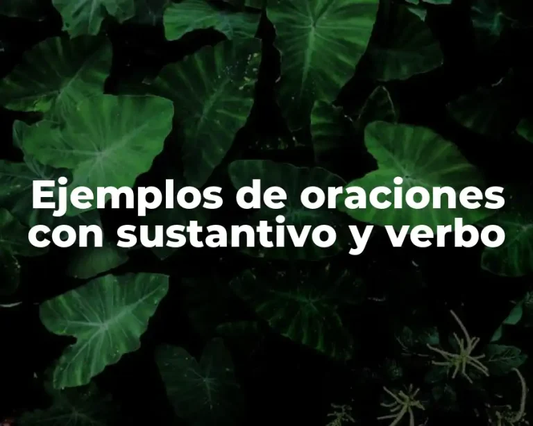 Ejemplos de oraciones con sustantivo y verbo